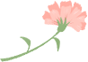 2.png 2.png